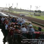 2017 Albums (January 01, 2017)